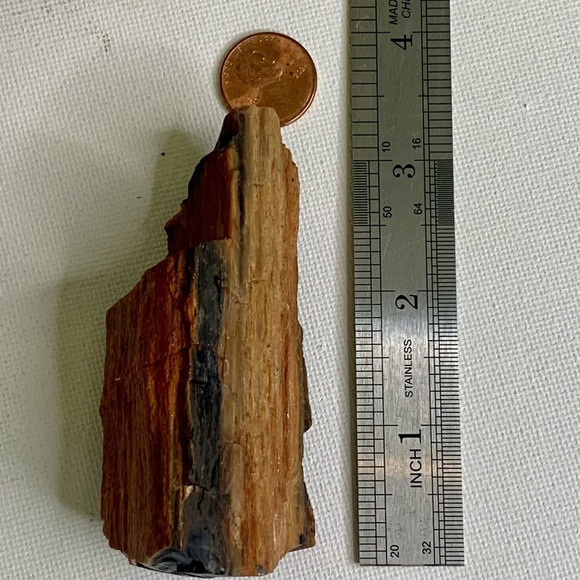 Red Petrified Wood Limb Orange Black Rough Display Specimen 3.3"x1.75" 142g 5oz - Picture 14 of 15